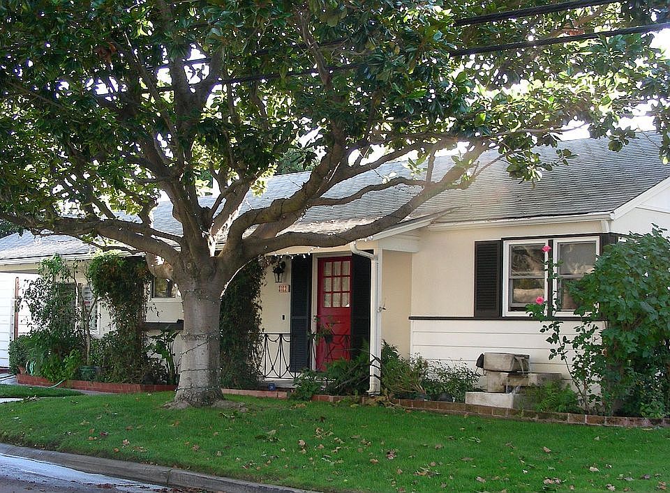 Gorgeous tree-lined street