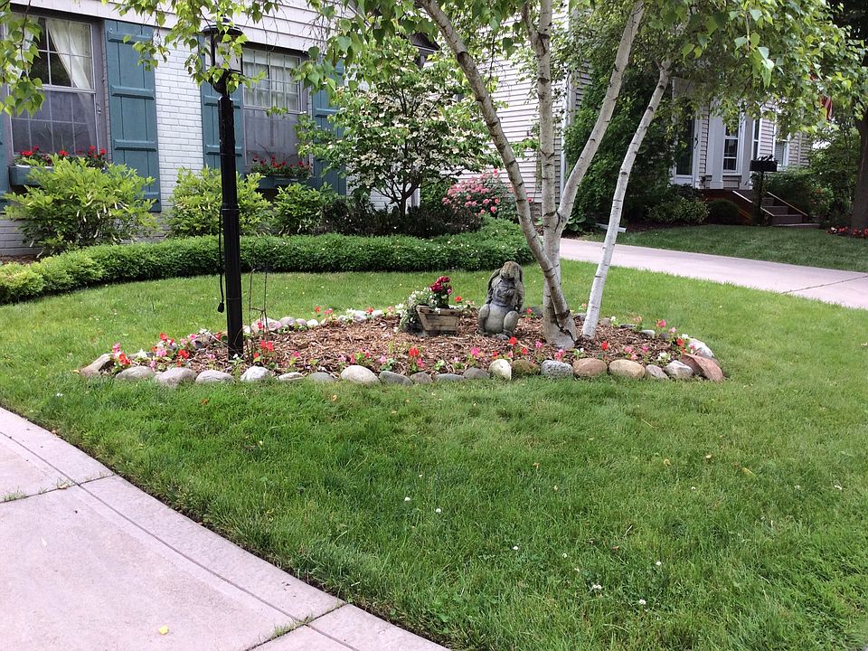 Partial frontyard