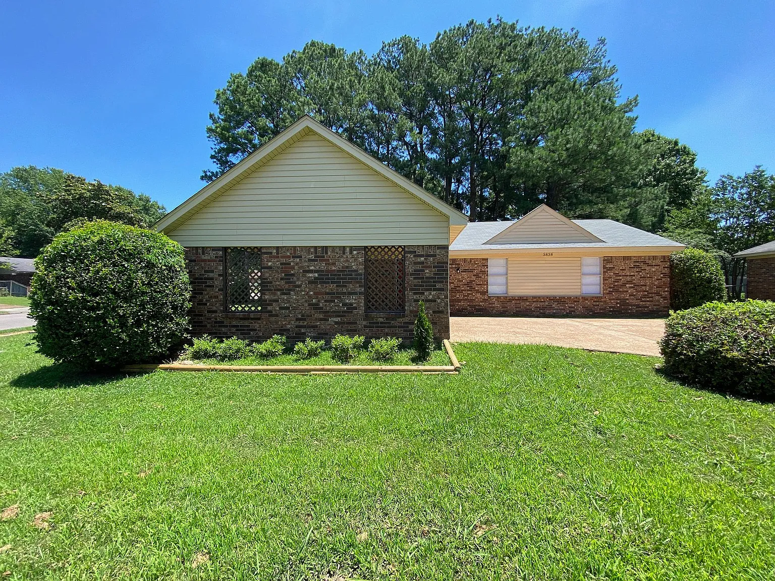3838 Hyacinth Dr — Photo 3