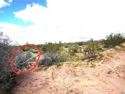 PARCEL 2597 S Dead Eye Rd, Yucca, AZ, 86438