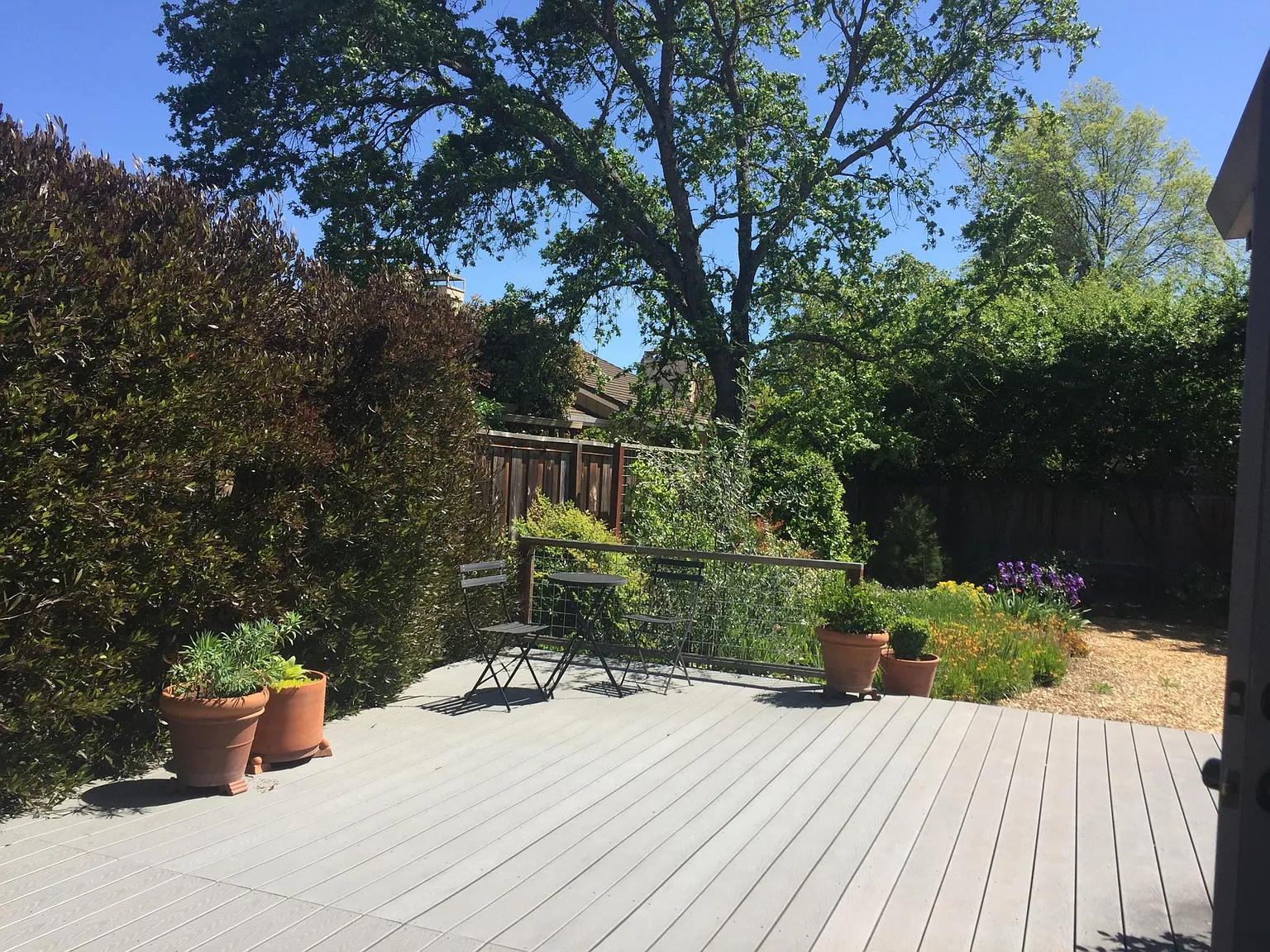 586 Curtin Ln — Photo 4