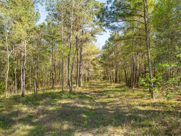 0 Bighorn Rd, Huntsville, TX 77340