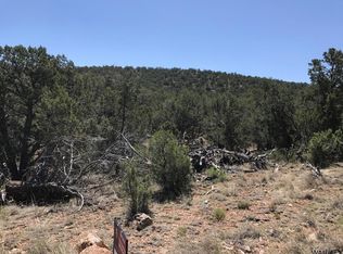 45701 N Los Vientos, Seligman, AZ 86337