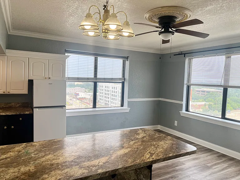 311 W Ashley St #907 — Photo 4