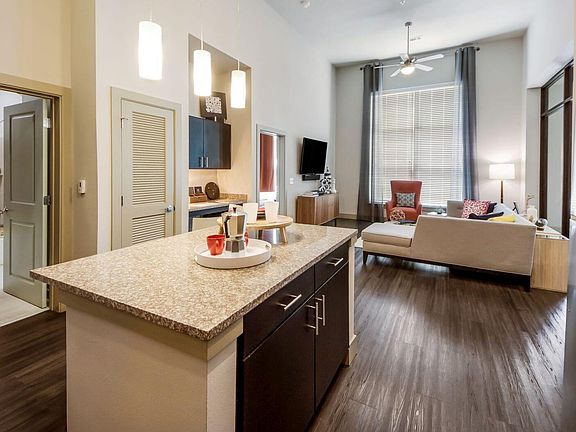 3rd image of 1610 Frisco Square Blvd #12232
