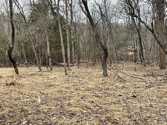 2nd image of 0 Huntington Dr Lot B