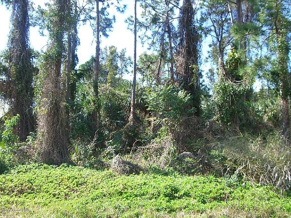 2nd image of 338 Woods Lake Dr