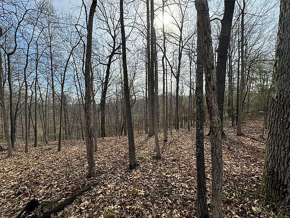 4th image of 0 Radcliff Ln