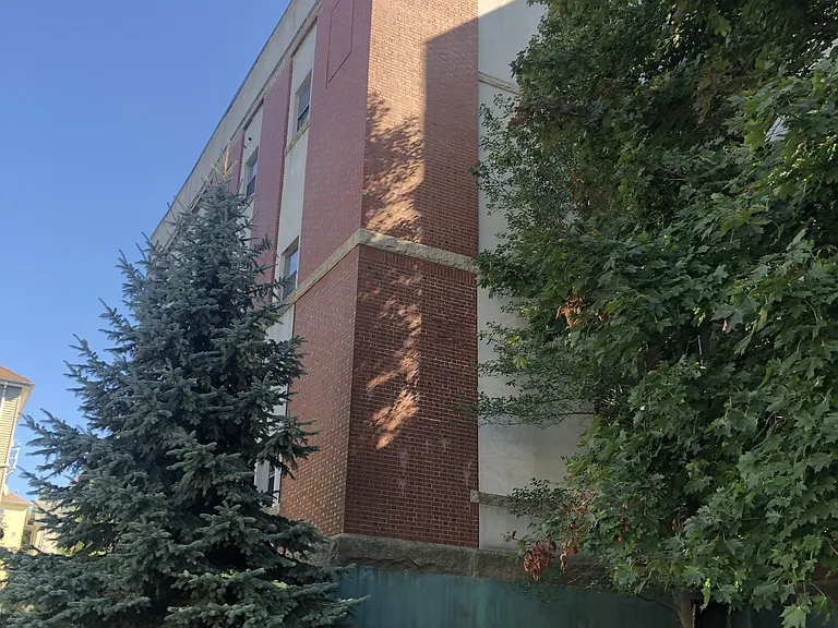 260 Fountain St #D1 — Photo 12
