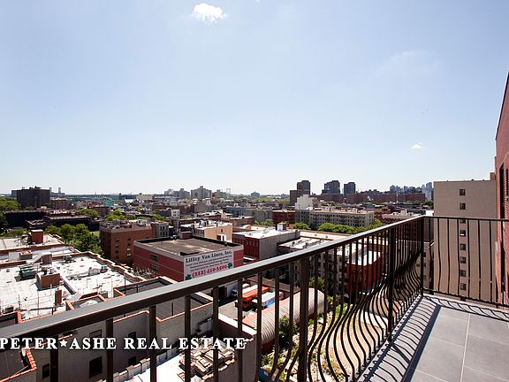 5th image of 203 E 121st St APT 203