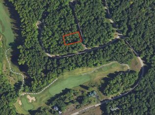 LOT 258 Niblick Ct, Bellaire, MI 49615