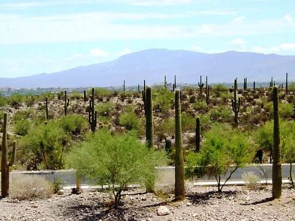 Desert/City/Mountain View