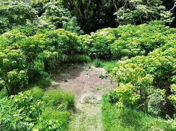 0 Kamehameha V Hwy #1B, Kaunakakai, HI 96748