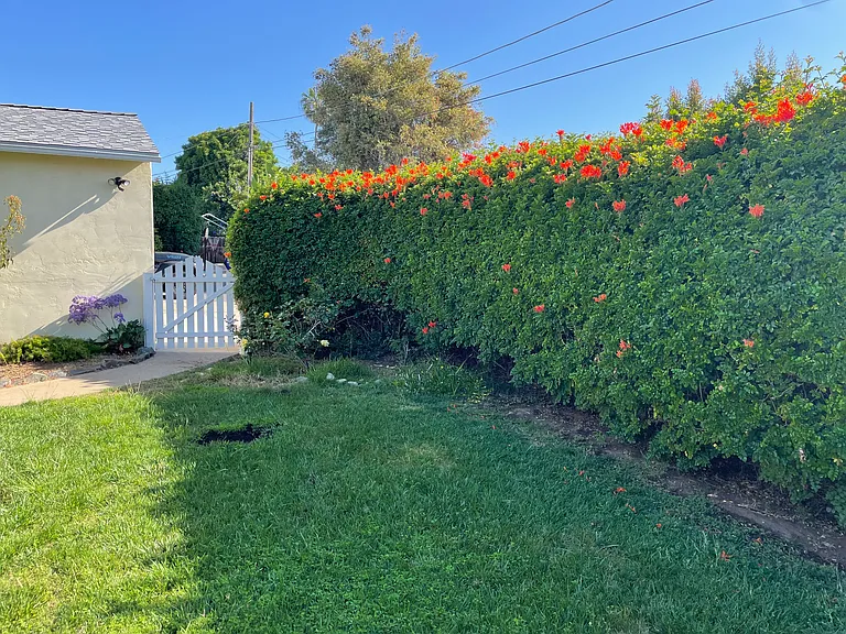 Aragon Dr — Photo 21