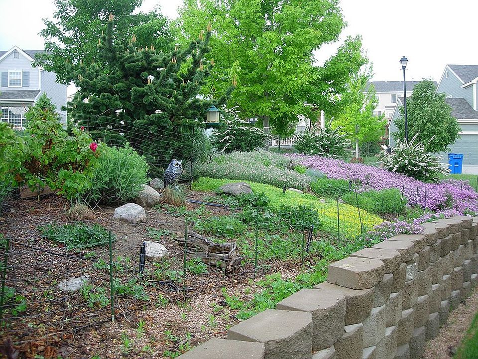 Backyard Xeriscape Garden