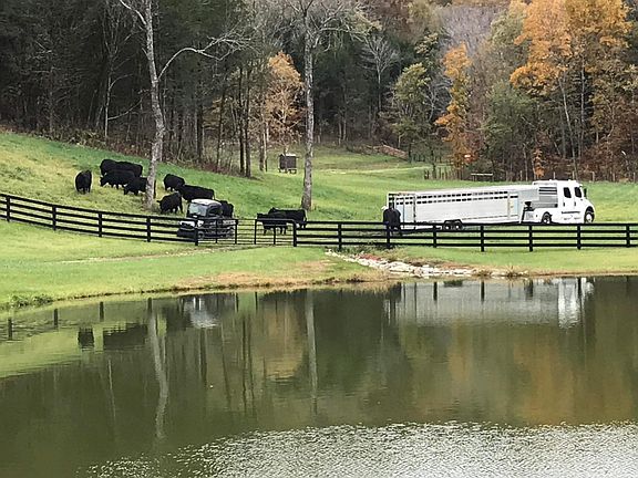 72nd image of this home