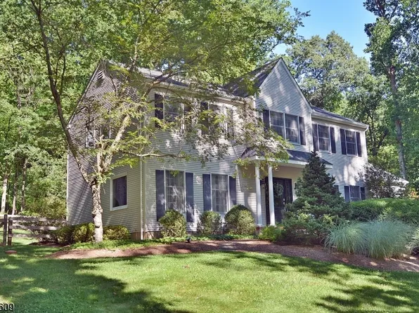 11 Devonald Dr, Bethlehem Twp., NJ 08802