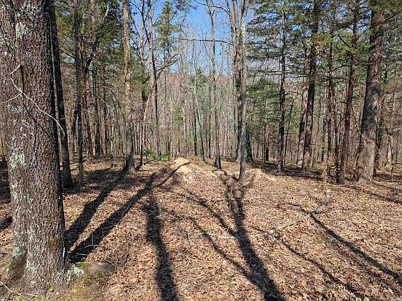 2nd image of 20 River Ridge Rd