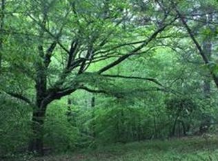 60 Spur, Mineral Bluff, GA 30559