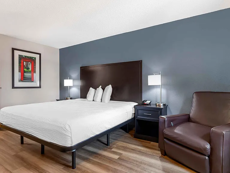 Superior Studio - 1 King Bed