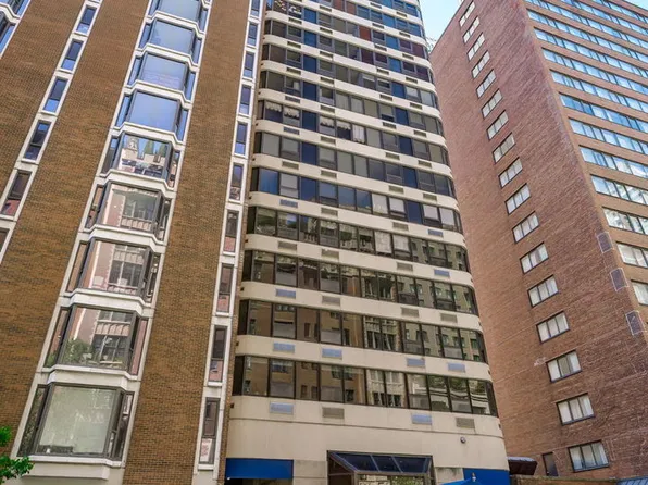 221 E Walton Pl APT 14B, Chicago, IL 60611