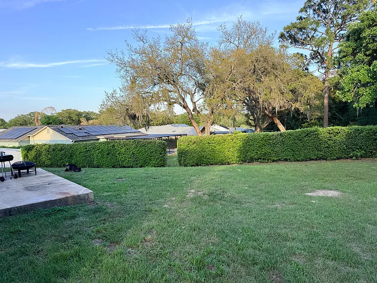 Backyard