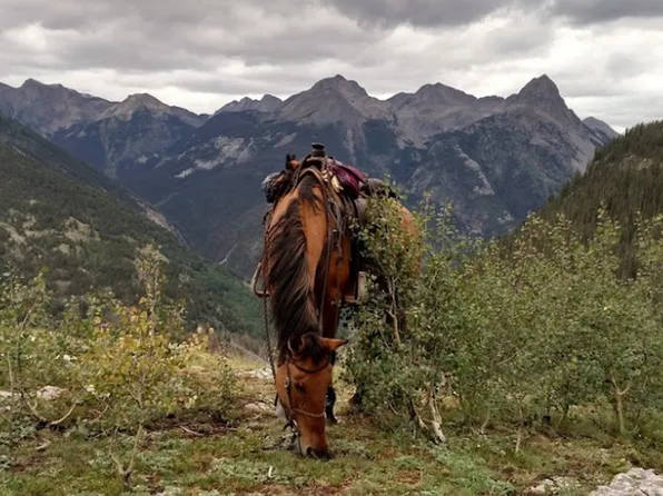 0 Fs Rd, Durango, CO 81301