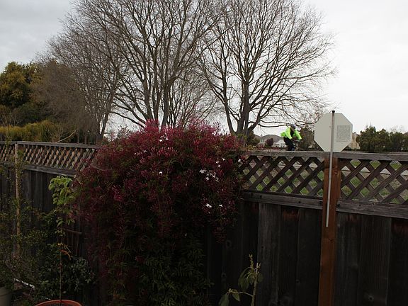 Backyard with view of Alameda creek and trail