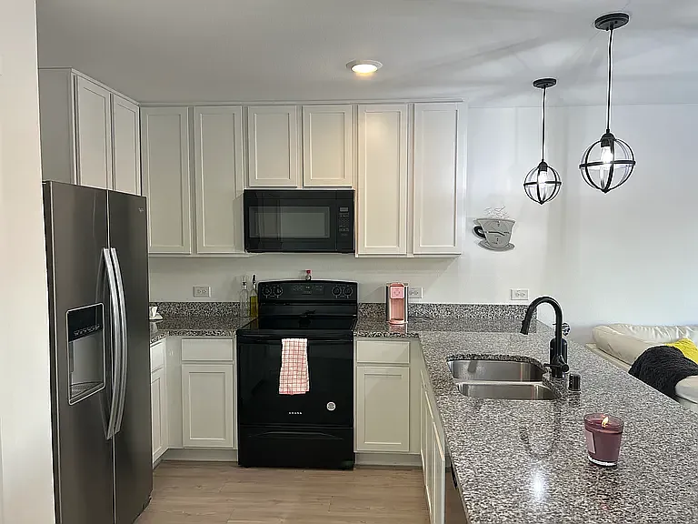 910 Wood Stork Way — Photo 4