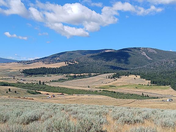 Grasshopper Valley