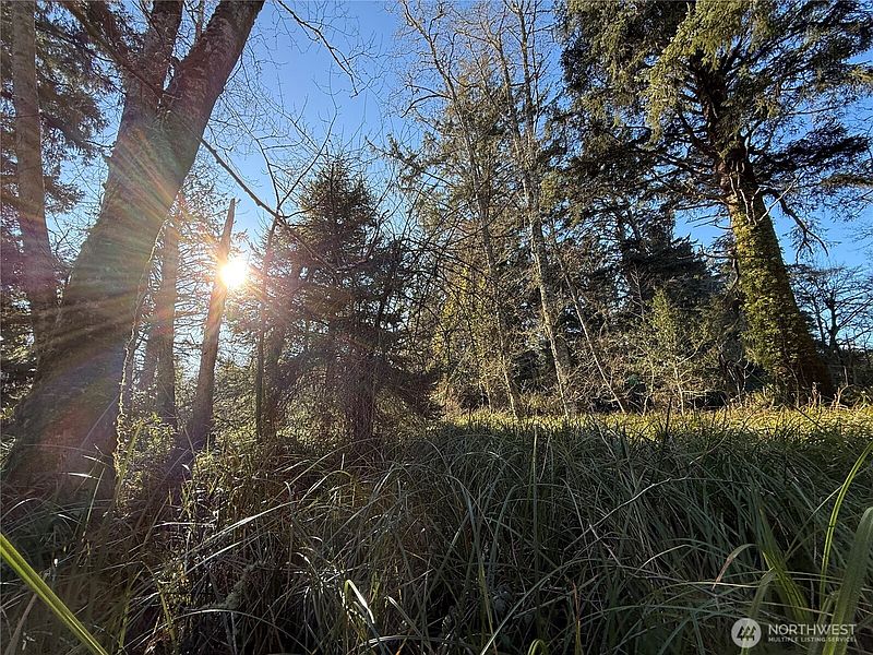 5th image of 27399 Sandridge Road