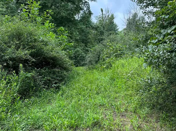 0 Bridgewater Rd, Coal City, IN 47427