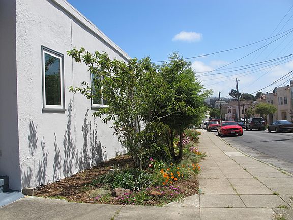 New landscape in side yard.