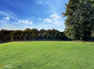 1007 Madison Hall Ln, Milton, GA 30004