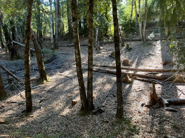 27208 Bear Circle, Willits, CA 95490