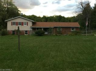 10094 Pekin Rd, Newbury, OH 44065