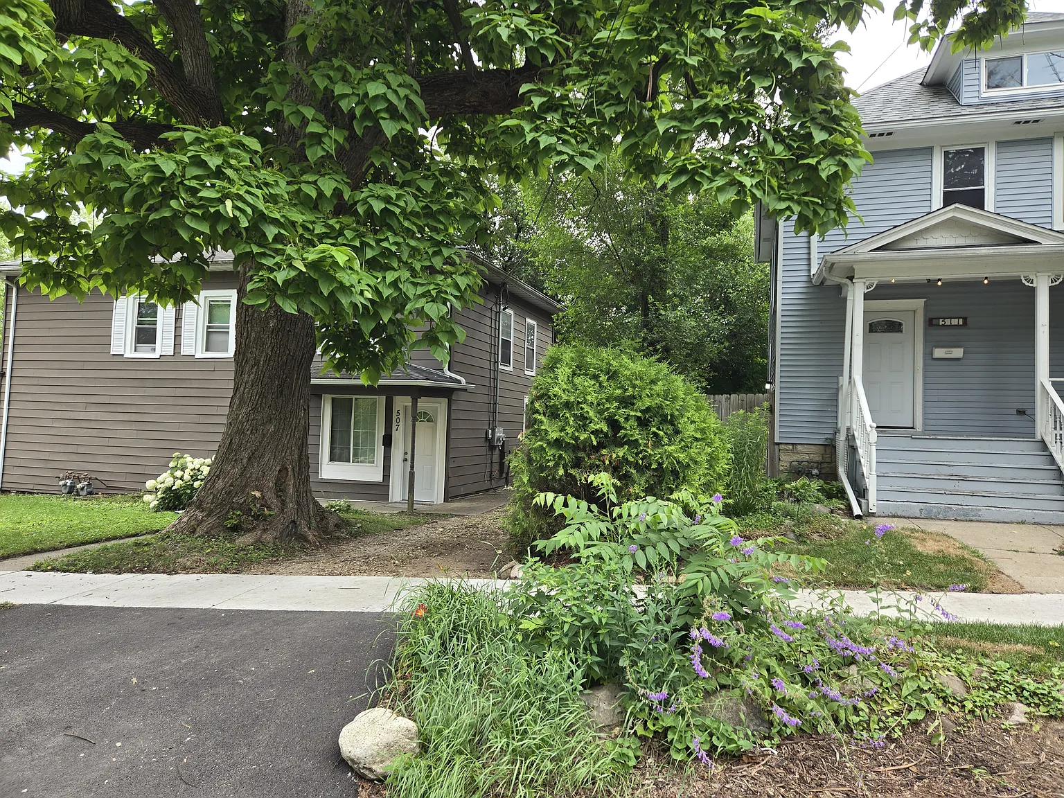 2 bed, 900 sqft, $1,350 — Photo 1