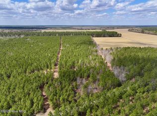 0 Guinea Mill Rd LOT 1, Ernul, NC 28527