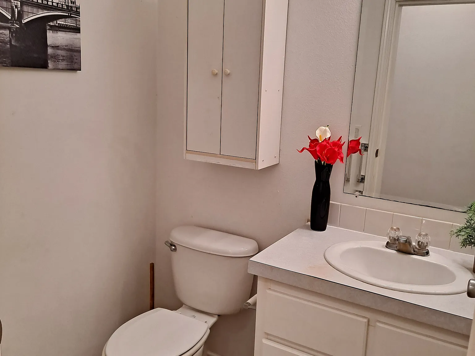 4314 Staghorn Dr — Photo 3