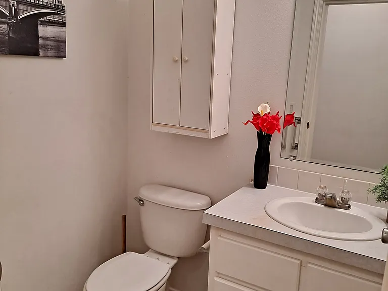 4314 Staghorn Dr — Photo 3
