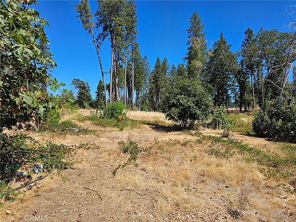 4th image of 1533 Forest Service Rd