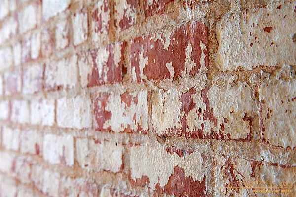 Rented by aptsandlofts.com | media 38