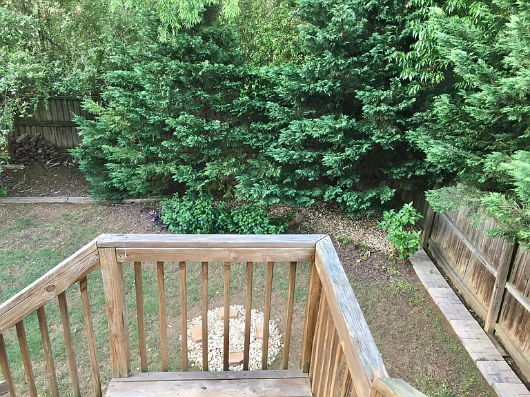 Backyard view