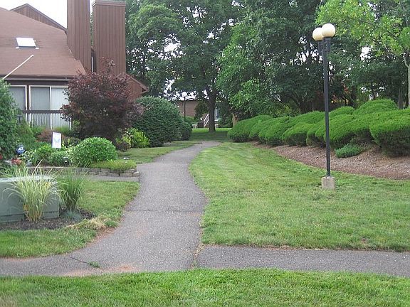 Beautiful front yard