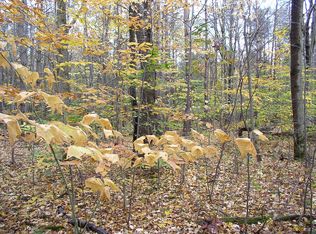 Coyle Hill Rd, Scio, NY 14880