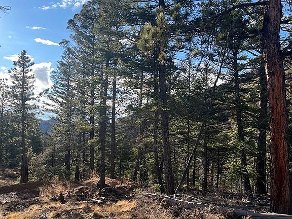 3rd image of Forbes Rd