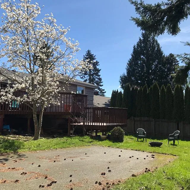 4 bed, 7100 sqft, $1,350 — Photo 2