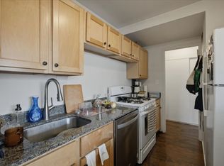3953 N Lake Shore Dr #1, Chicago, IL 60613