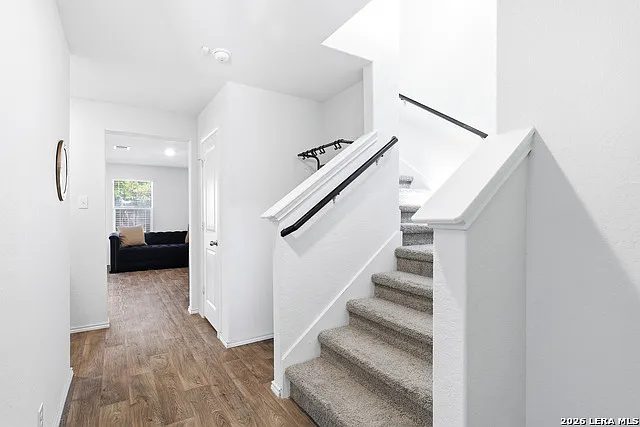 15331 Shortwing — Photo 3