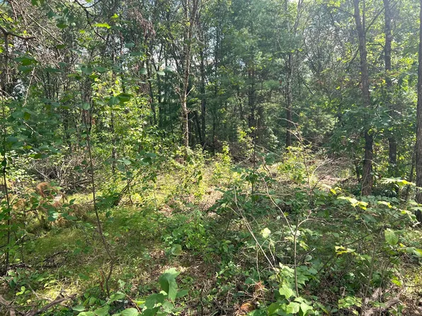 0 5th, Black River Falls, WI 54615